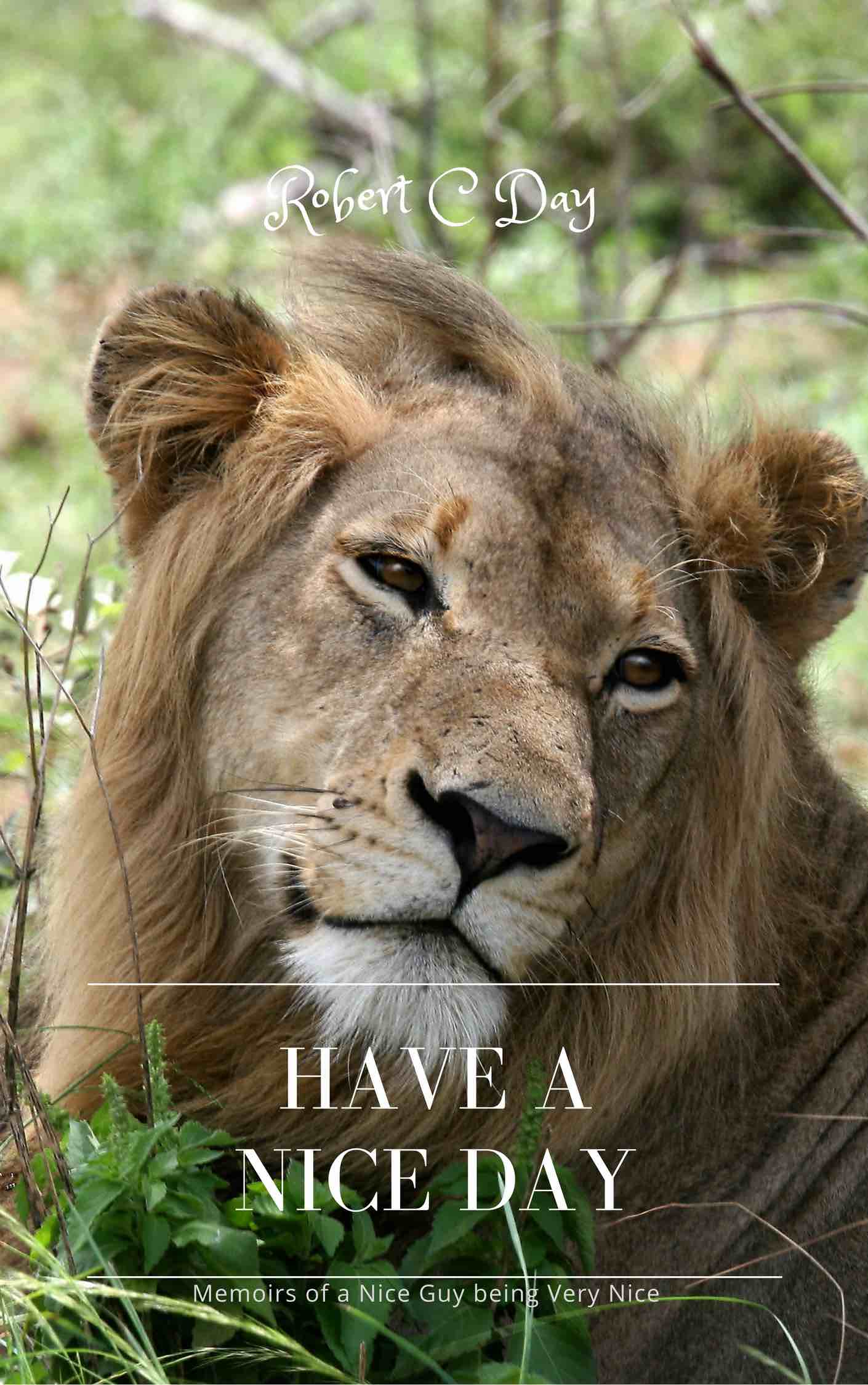 Have a Nice Day Have a Nice Day - front cover